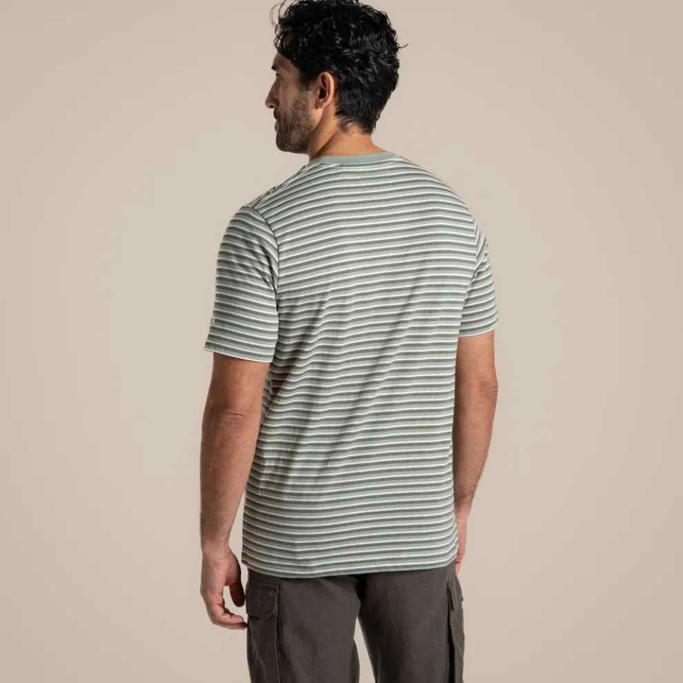 Men's Buffon Short Sleeved T-Shirt | Lichen Green Stripe