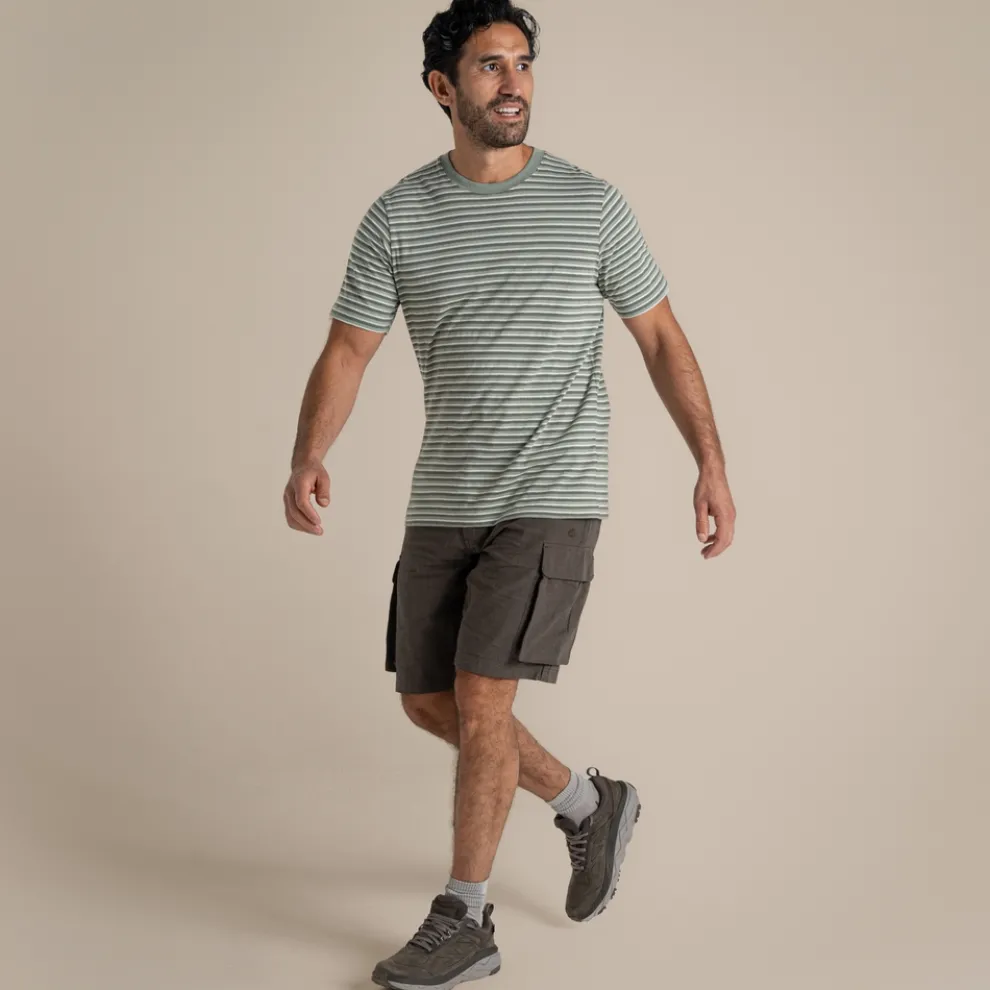 Men's Buffon Short Sleeved T-Shirt | Lichen Green Stripe